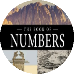 The Book Of Numbers The Book Of Numbers